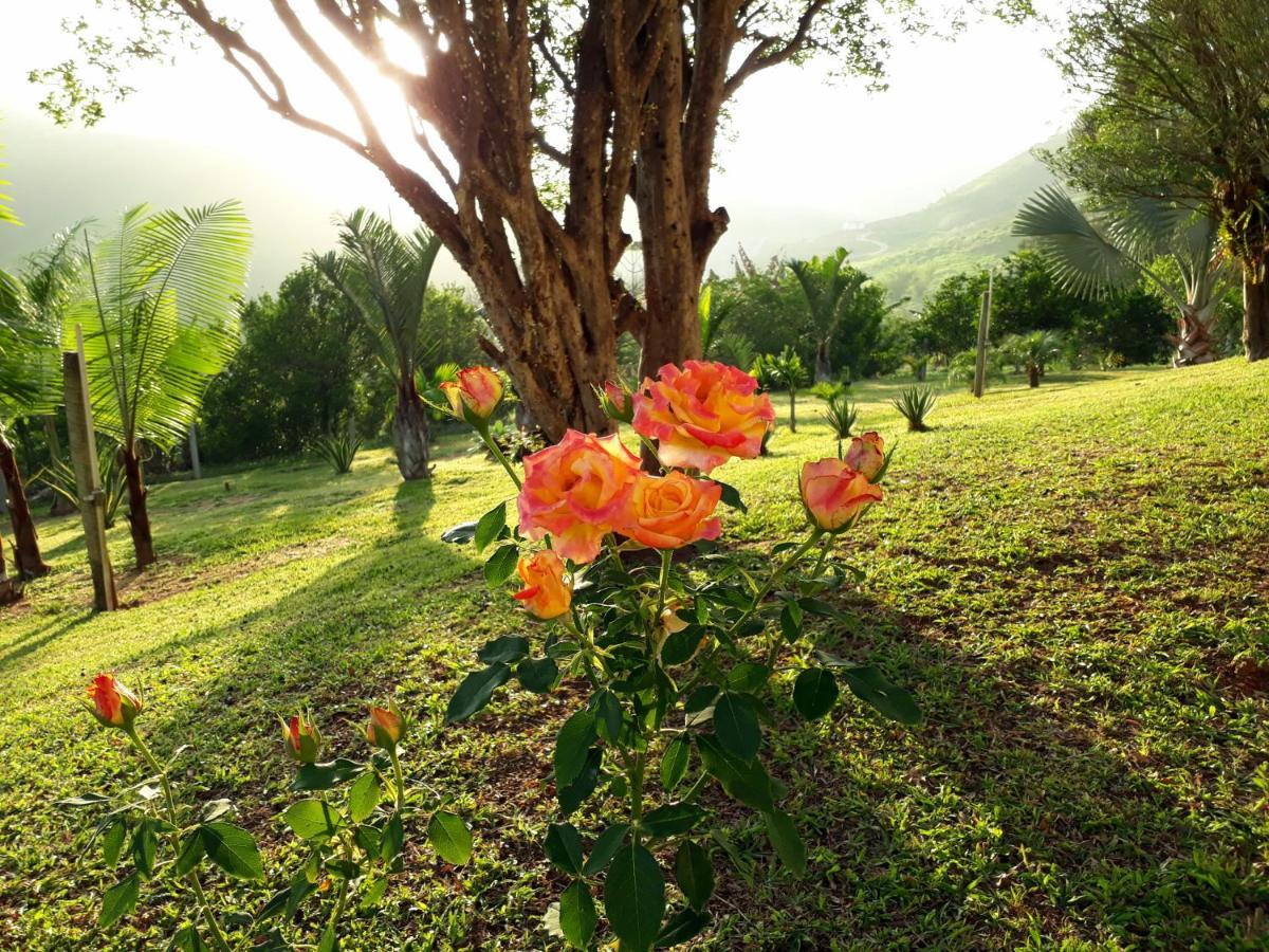 Casa/Sitio Na Serra Em Bom Jardim - Rj Екстериор снимка